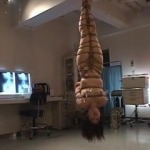 Thumbnail of post image 132