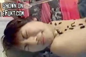 Thumbnail of post image 129