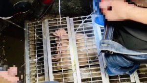Thumbnail of post image 134