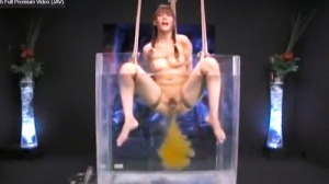 Thumbnail of post image 013